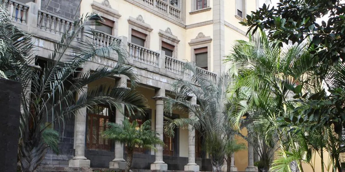 El TSJ de Canarias multa a un abogado por un recurso con 25 sentencias inventadas