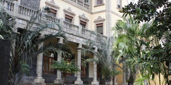 El TSJ de Canarias multa a un abogado por un recurso con 25 sentencias inventadas